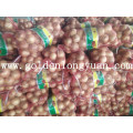 Fresh Vegetable Yellow Onion